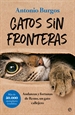 Portada del libro Gatos sin fronteras